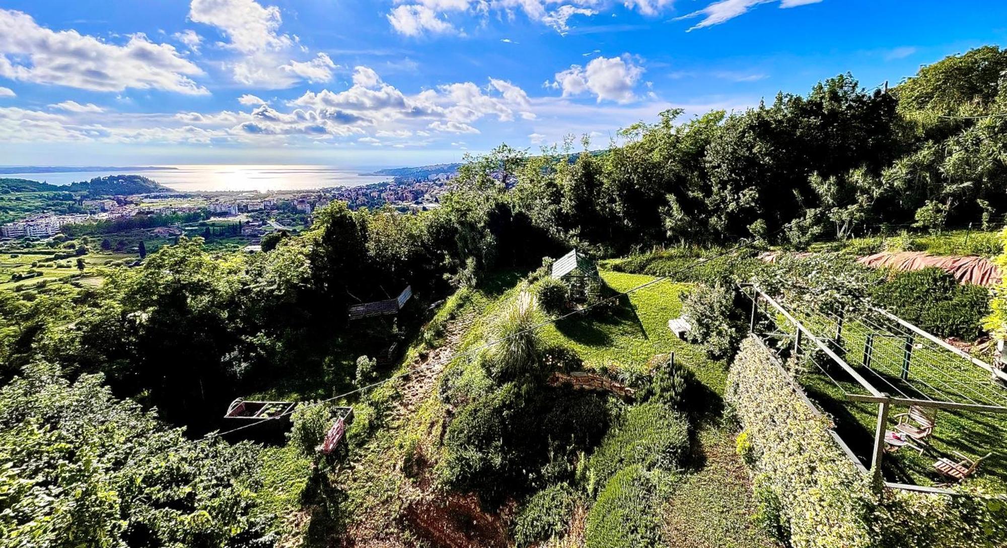 Apartmán Sea View Olive Retreat Portorož Exteriér fotografie